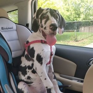 Meet your Posher, Jae